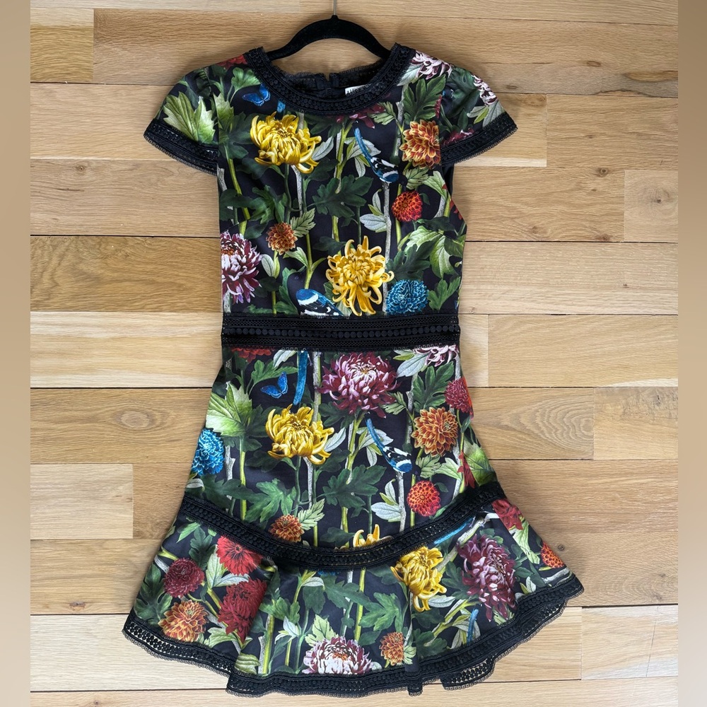 Alice and Olivia Rapunzel Dress